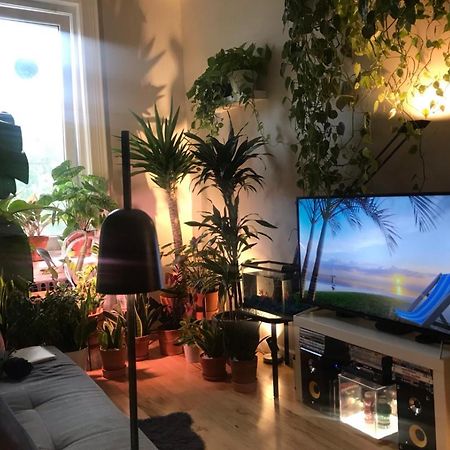 纽约Urban Jungle Oasis In Queens!公寓 外观 照片