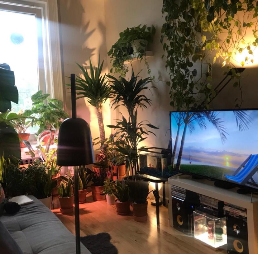 纽约Urban Jungle Oasis In Queens!公寓 外观 照片