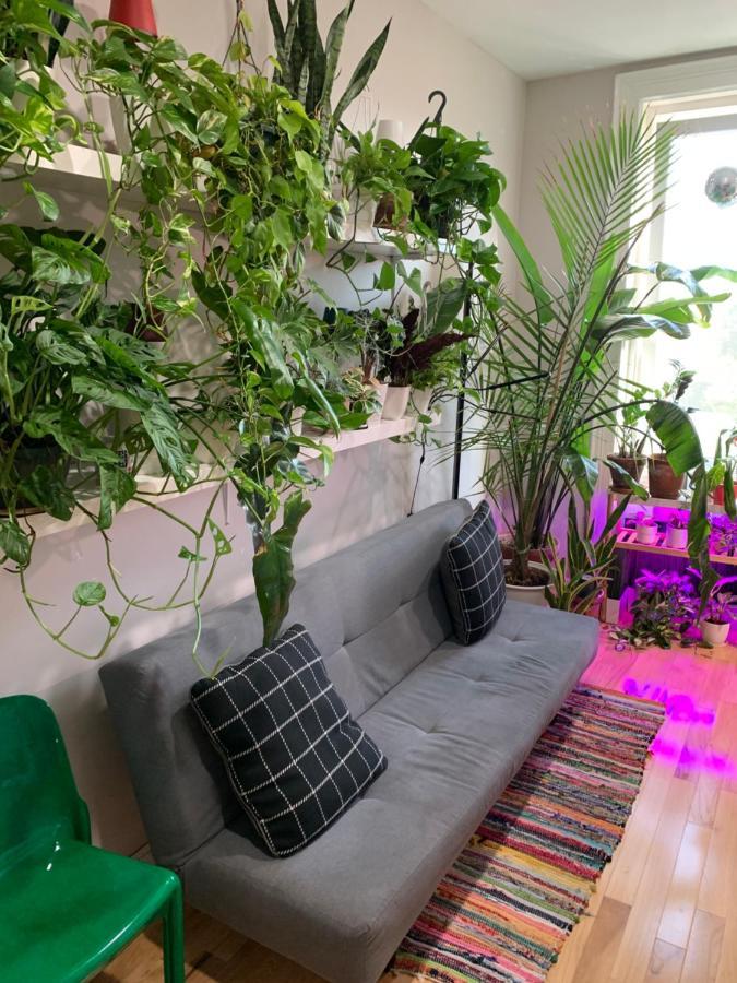 纽约Urban Jungle Oasis In Queens!公寓 外观 照片