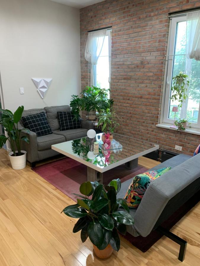 纽约Urban Jungle Oasis In Queens!公寓 外观 照片
