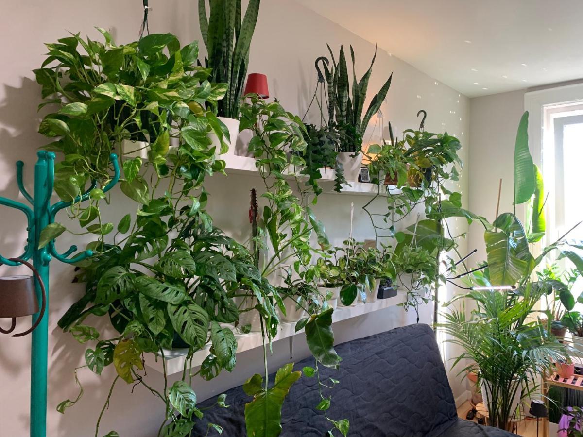 纽约Urban Jungle Oasis In Queens!公寓 外观 照片