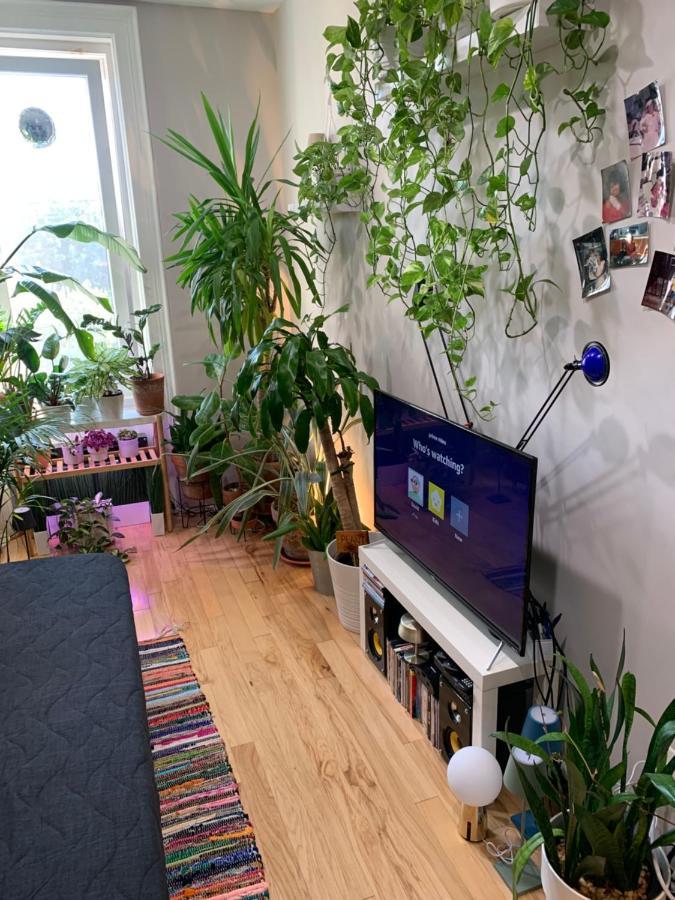 纽约Urban Jungle Oasis In Queens!公寓 外观 照片